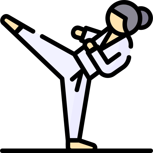 Taekwondo fight martial arts arts icon