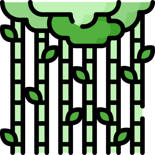 Bamboo forest tree nature icon Bamboo forest tree nature icon
