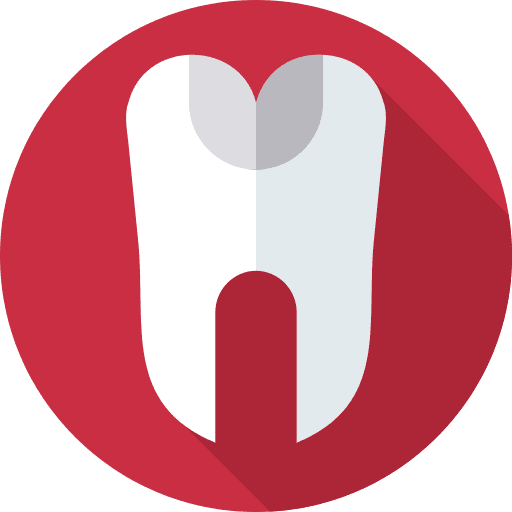 Tooth molar dental care healthcare and medical icon Tooth molar dental care healthcare and medical icon