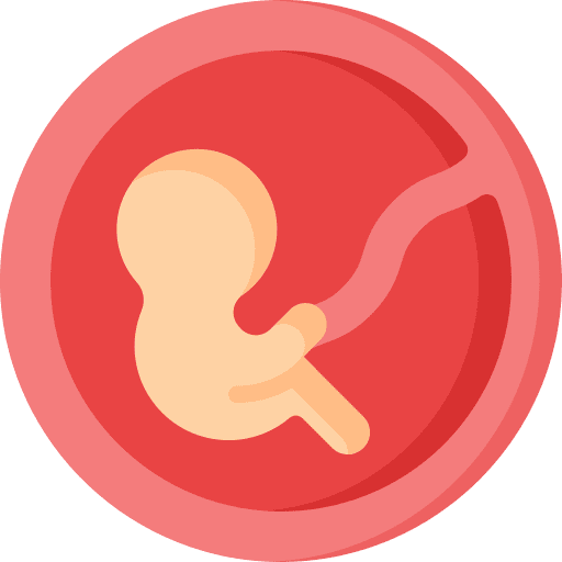 Fetus womb gestation baby icon Fetus womb gestation baby icon