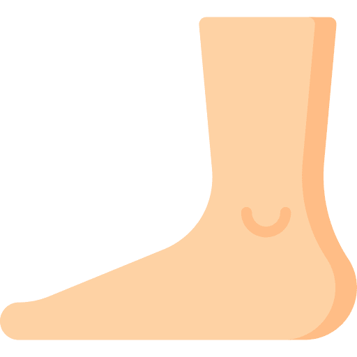 Foot human body leg body part icon Foot human body leg body part icon