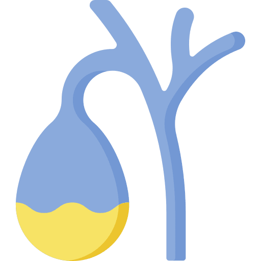 Gallbladder bile human body healthcare and medical icon Gallbladder bile human body healthcare and medical icon