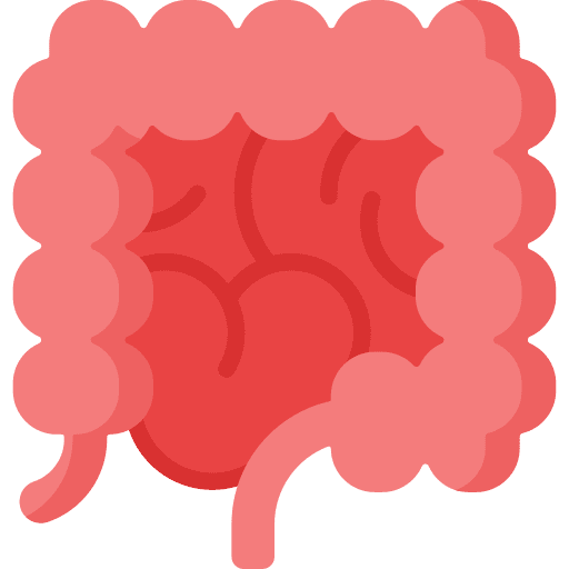 Large intestine digestive system large intestine human body icon