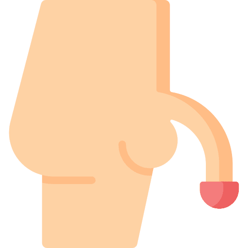 Penis healthcare and medical penis urology icon Penis healthcare and medical penis urology icon