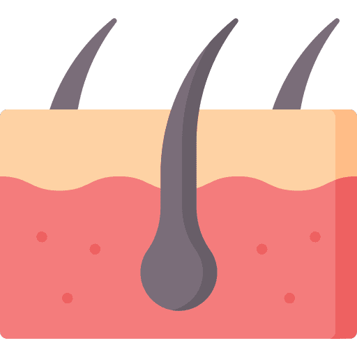 Skin healthcare and medical human body dermatology icon