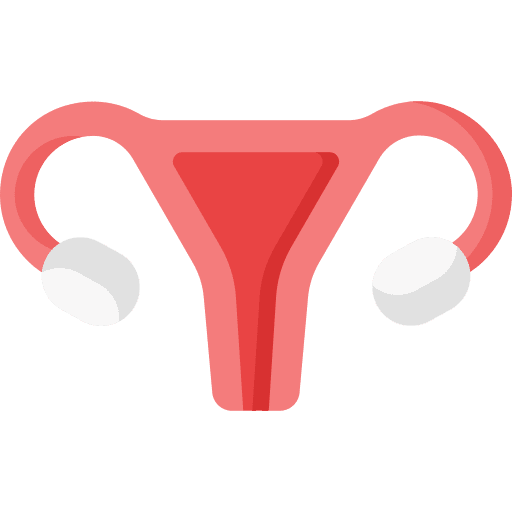 Uterus fallopian tubes female organs reproductive system icon Uterus fallopian tubes female organs reproductive system icon