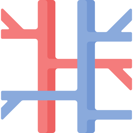 Veins artery circulatory system body part icon Veins artery circulatory system body part icon