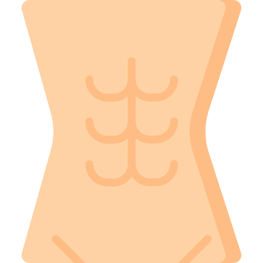 Abdominals muscle abdominals human body icon Abdominals muscle abdominals human body icon