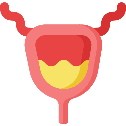Bladder human body body part urine icon Bladder human body body part urine icon