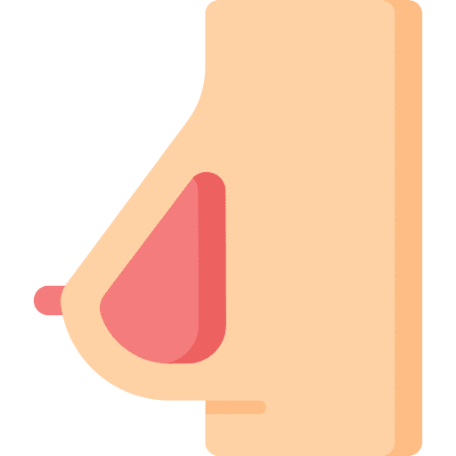 Breast healthcare and medical anatomy bust icon Breast healthcare and medical anatomy bust icon