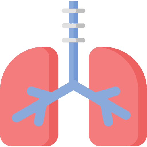Lungs anatomy lungs body organ icon Lungs anatomy lungs body organ icon