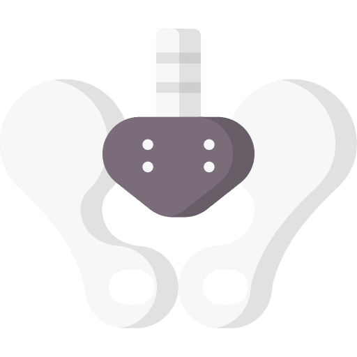 Pelvis pelvis anatomy human body icon Pelvis pelvis anatomy human body icon