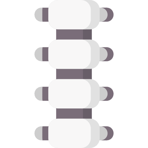 Spine bone body part skeleton icon Spine bone body part skeleton icon