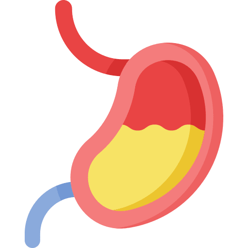Stomach human body body part healthcare and medical icon Stomach human body body part healthcare and medical icon