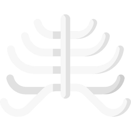 Ribcage anatomy thorax body part icon Ribcage anatomy thorax body part icon