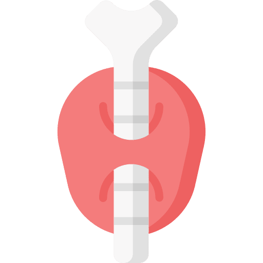 Thyroid anatomy body part healthcare and medical icon Thyroid anatomy body part healthcare and medical icon