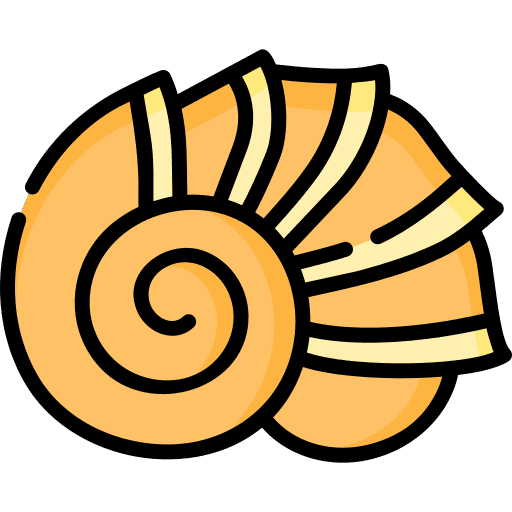 Conch shell nature animals sea life icon