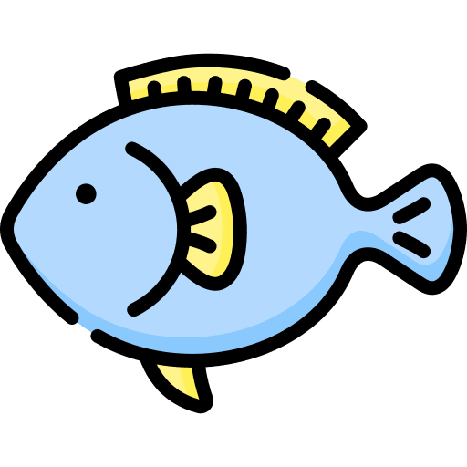 Fish fish sea animals icon