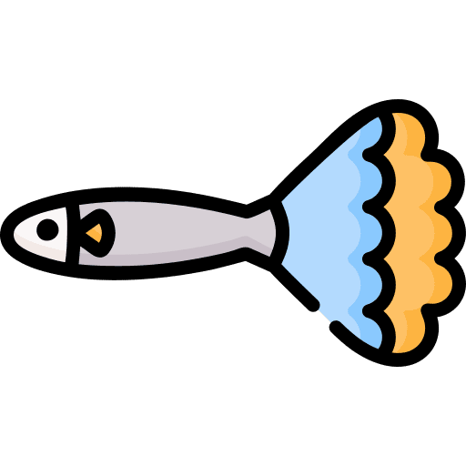 Guppy sea life fish aquatic icon Guppy sea life fish aquatic icon