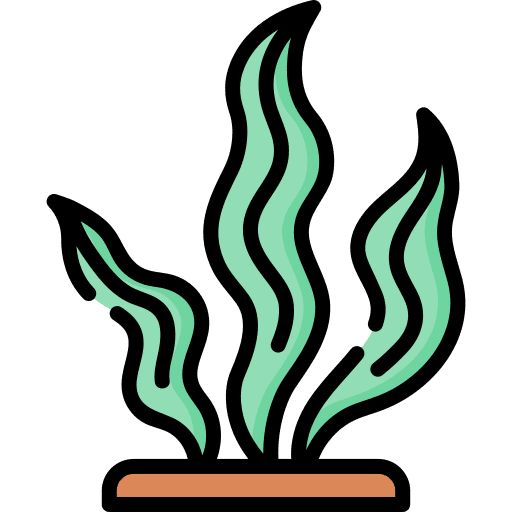 Seaweed algae nature animals icon