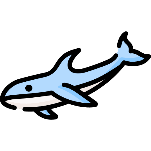 Shark fish wild life shark icon