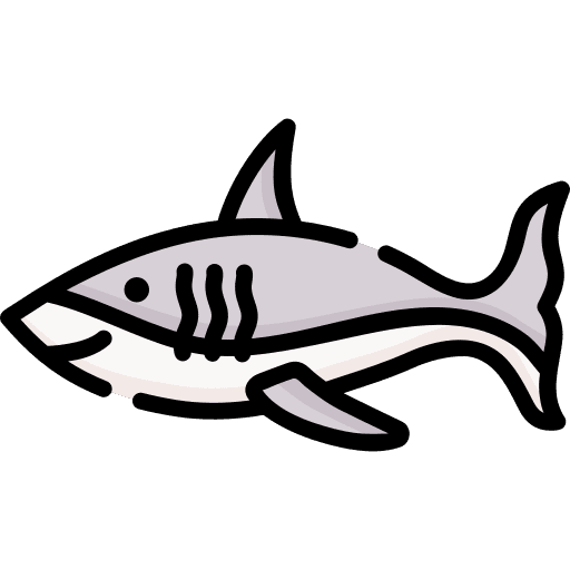 Shark wild life wild animals animals icon