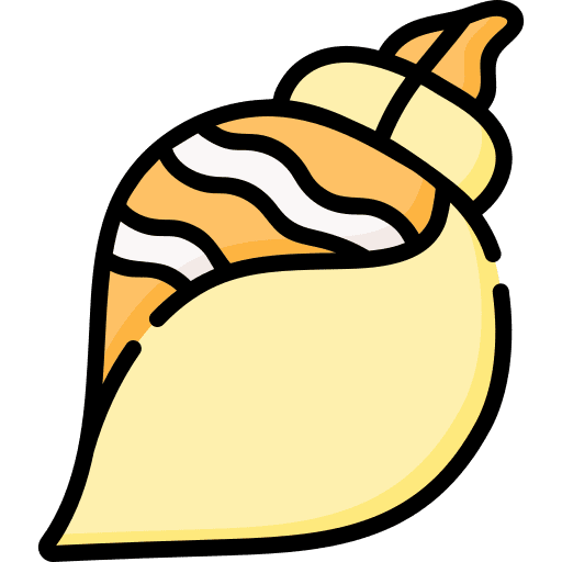 Shell sea snail shell aquarium icon