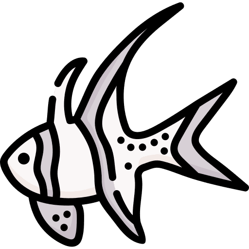 Banggai cardinalfish animal aquarium aquatic icon Banggai cardinalfish animal aquarium aquatic icon