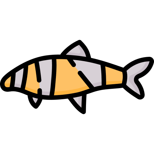 Clown loach aquarium animals clown loach icon Clown loach aquarium animals clown loach icon