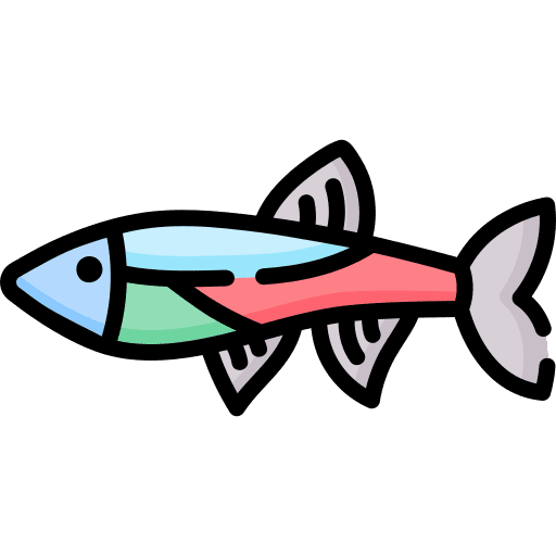 Neon tetra neon tetra fish animal icon Neon tetra neon tetra fish animal icon