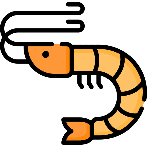 Shrimp animal kingdom shrimp animals icon Shrimp animal kingdom shrimp animals icon