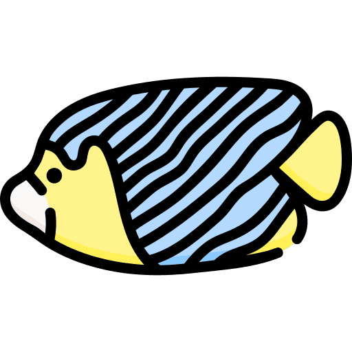 Angelfish animal kingdom aquarium marine icon Angelfish animal kingdom aquarium marine icon