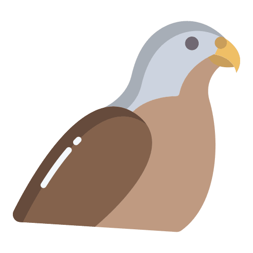 Falcon falcon eagle zoology icon