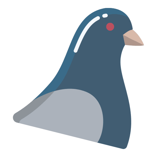 Pigeon pigeon bird ornithology icon