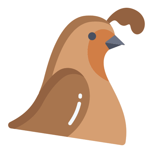 Quail ornithology animals quail icon