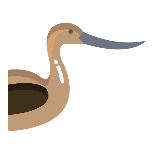 Avocet zoology ornithology bird icon Avocet zoology ornithology bird icon