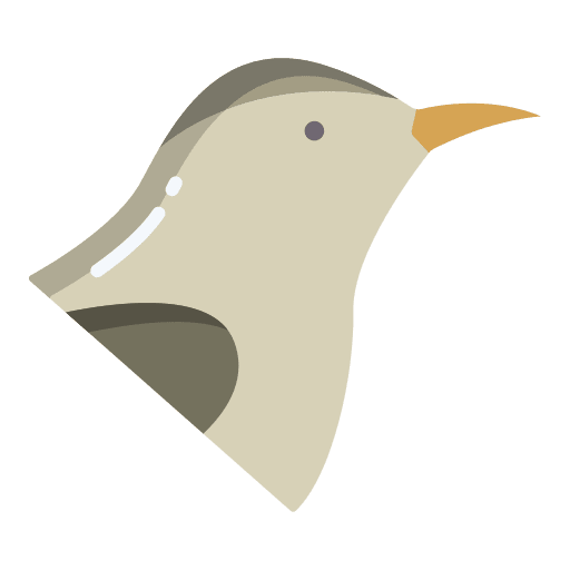 Bird animal kingdom ornithology animals icon Bird animal kingdom ornithology animals icon