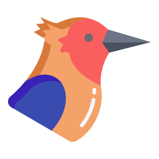 Bird zoology bird woodpecker icon Bird zoology bird woodpecker icon