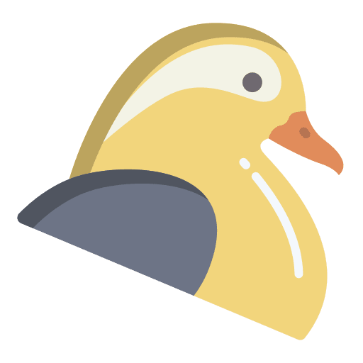 Mandarin face mandarin ornithology icon Mandarin face mandarin ornithology icon