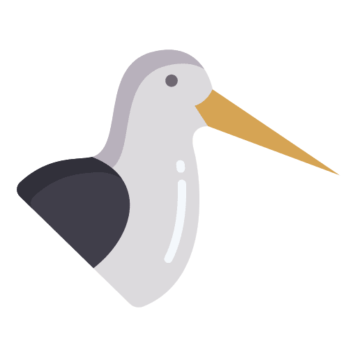 Oystercatcher ornithology wild life animals icon Oystercatcher ornithology wild life animals icon