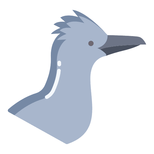 Roadrunner roadrunner animal kingdom ornithology icon Roadrunner roadrunner animal kingdom ornithology icon