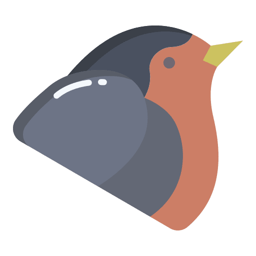 Robin robin ornithology bird icon Robin robin ornithology bird icon