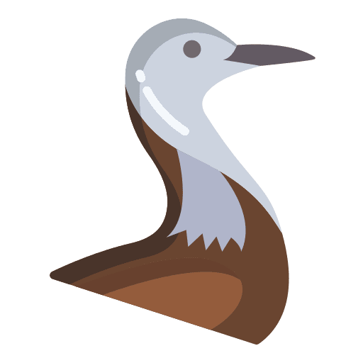 Bird wild life animal kingdom bird icon Bird wild life animal kingdom bird icon