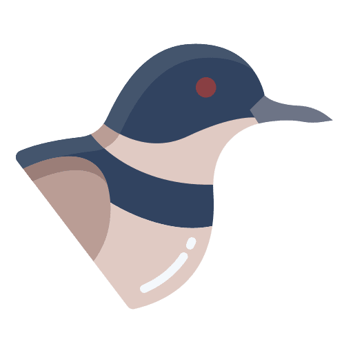 Bird zoology wild life animals icon Bird zoology wild life animals icon
