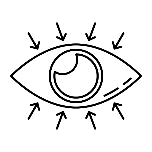 Eye view eye arrows icon