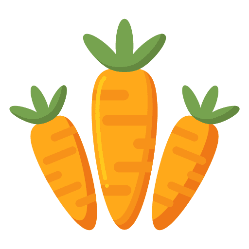 Carrots vegan healthy food carrots icon