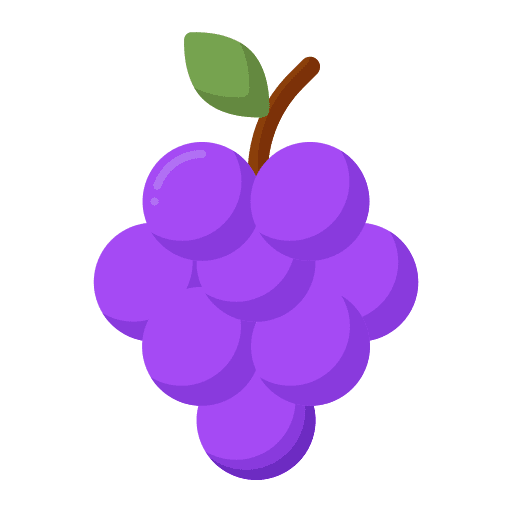 Grapes food berries fruit icon