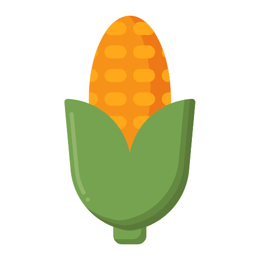 Corn cob hand drawn farming and gardening icon