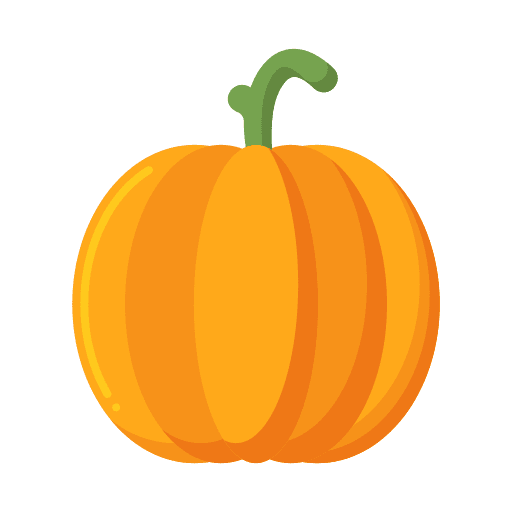 Pumpkin vegetable healthy food vegan icon