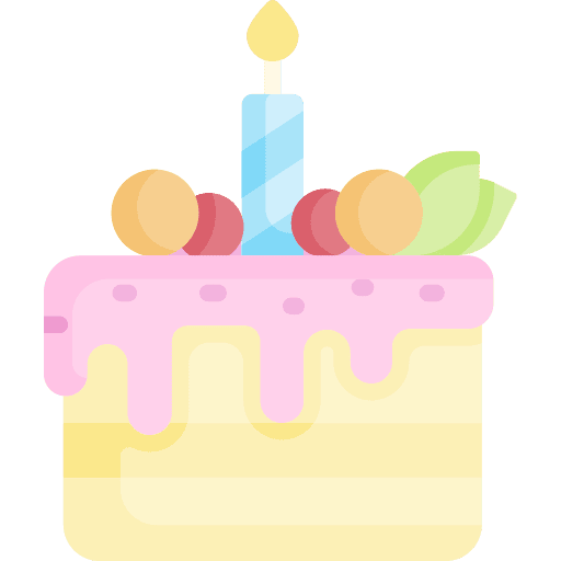 Birthday cake food sweet candle icon